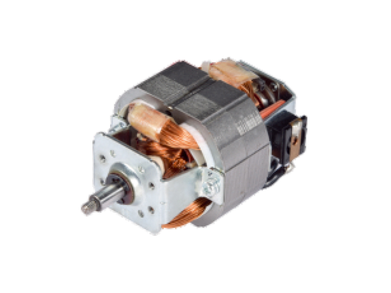 Excitation Motor