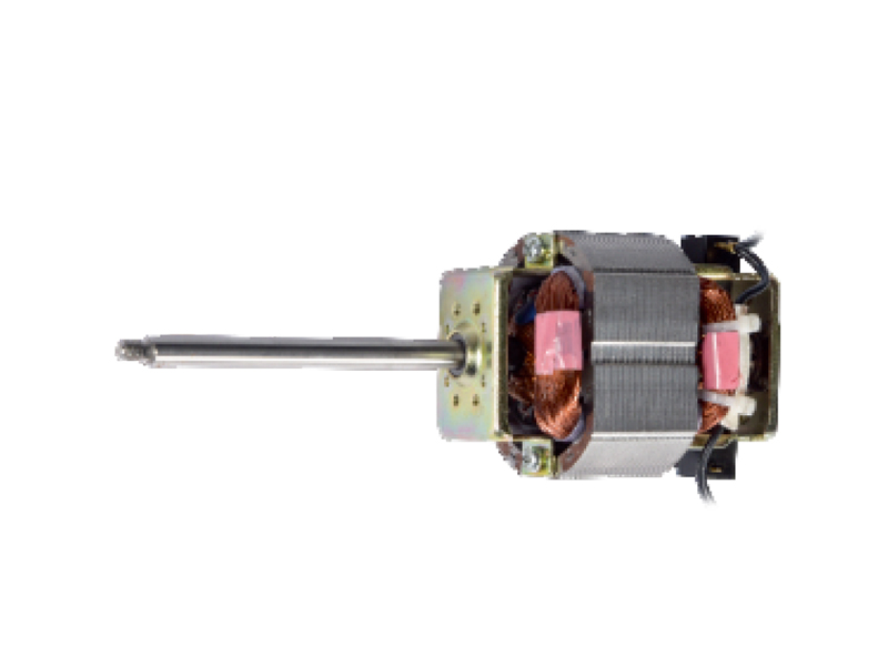 Excitation Motor