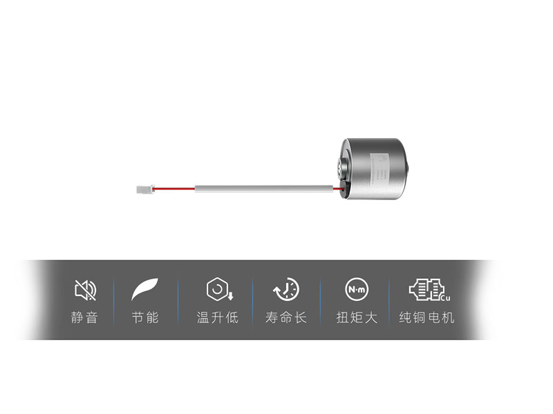 BLDC Motors