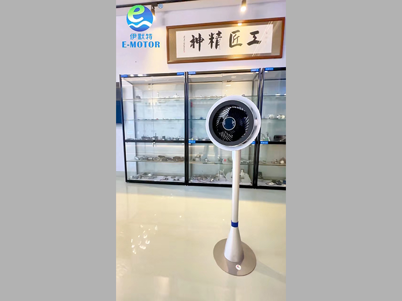 Fan Intelligent Motor